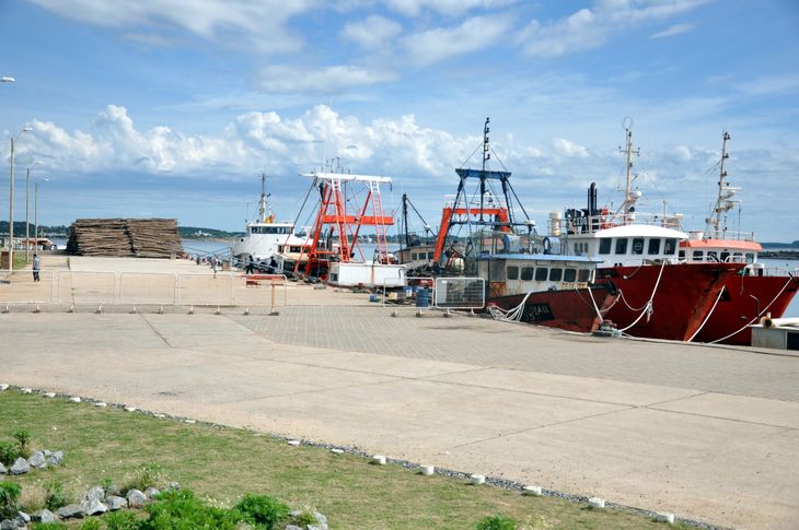 El proyecto busca atraer inversores al Puerto de la Paloma.