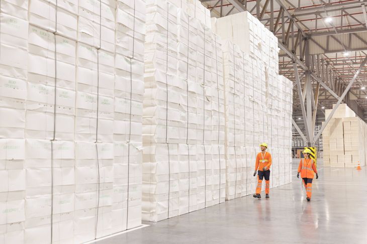 La celulosa se convertirá en el principal producto de exportación del Uruguay.