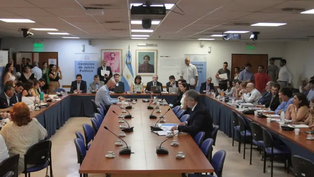 diputados retomo el debate con la declaracion de aldo tonon